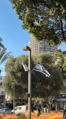 Israeli flags displayed on Tel Aviv street pole