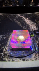 Dubai diners enjoy immersive projection-mapped Valentine's Day dining experience