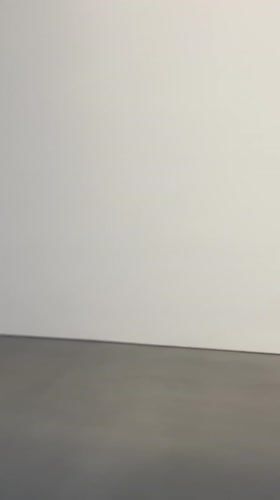Liu Xiaodong art exhibition features knight paintings in LA