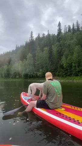 A person wearing a baseball cap and a green t-shirt sits on a red, yellow, and pink paddleboard in a river. A white dog stands on the paddleboard in front of the person, with its head down, possibly drinking water. The person's legs are in the water. A paddle is attached to the side of the paddleboard. The river is surrounded by a dense forest of green trees. The sky is overcast and cloudy.