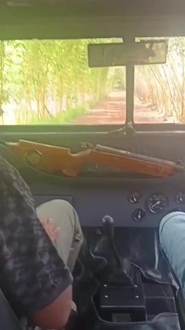 The video offers a first-person view from inside an open-top vehicle, likely a Jeep, as it slowly navigates a narrow dirt road. The road is flanked on both sides by dense, tall bamboo stalks, forming a green tunnel.

Inside the vehicle, a rifle with a wooden stock and metallic barrel is prominently displayed horizontally on the dashboard. The number "54" is visible on the rifle's side. Below it, the dashboard features several gauges, including a speedometer indicating a low speed, and a manual gear stick is positioned between the seats.

Two individuals are partially visible from the waist down: the driver on the left, wearing a patterned shirt and light pants, with a hand near the gear shift; and a passenger on the right, wearing light blue pants. A person, possibly the one recording, is reflected in the rearview mirror.

The scene is set in a rural or natural environment, likely Dhundshi, India, during daytime, with ample natural light filtering through the bamboo. A male voice is heard speaking in Hindi, saying "hamare mein Rajputana feeling hai ye wala," which translates to "in our [culture/group], this gives a Rajputana feeling," indicating a sense of adventure or cultural pride associated with the journey.
