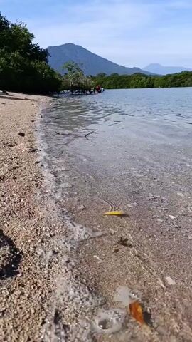 The video shows a shoreline on a sunny day. The beach is composed of sand and small pebbles. Clear water gently washes onto the shore, revealing small, colorful debris beneath the surface. In the background, across the water, a group of people stands near some trees. Further in the distance, a mountain range is visible under a blue sky with scattered clouds.