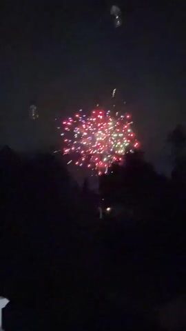The video captures a nighttime display of fireworks. The scene is dark, with the silhouettes of trees visible in the foreground. The fireworks explode in various colors, including green, white, red, and yellow, creating bright bursts against the night sky. Some fireworks produce a shower of sparks, while others create more rounded bursts. The video appears to be a compilation of short clips, with each clip showing a different moment of the fireworks display. The sound of the fireworks exploding is audible.