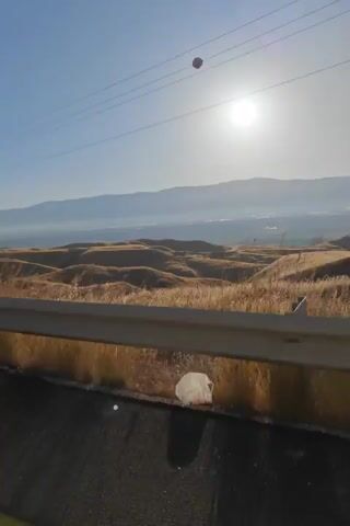 The video captures a landscape with rolling hills covered in dry grass under a bright sun. A road with a yellow line is visible in the foreground, with a guardrail along one side. Power lines stretch across the sky, and a utility pole is also present. In the distance, mountains are faintly visible through a hazy atmosphere. There are no people or animals clearly depicted in the video. The overall impression is of a rural or semi-arid environment during the day.