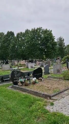 The video is a panning shot of a cemetery. The shot begins on a gravestone with flowers and then pans to the left, showing more gravestones, trees, and grass. The sky is overcast. The video continues to pan, showing more of the cemetery, including a path and more gravestones. The shot ends on a gravestone with flowers and a lamp.