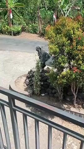 A stone statue of a dog, a representation of a mastiff, stands prominently in a landscaped garden area. The dog statue is black and white and positioned on a circular bed of dark stones. A tall, thin plant with variegated green and white leaves grows in front of the dog. To the right of the dog statue, a green bush with red flowers adds color to the scene. Behind the garden area, a paved road is visible, bordered by lush green trees and vegetation. Two Indonesian flags, featuring red and white stripes, are planted on poles in the background. The foreground of the image shows a dark metal railing.