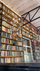 Eclectic Ukrainian room mixes library, taxidermy, and koi aquarium