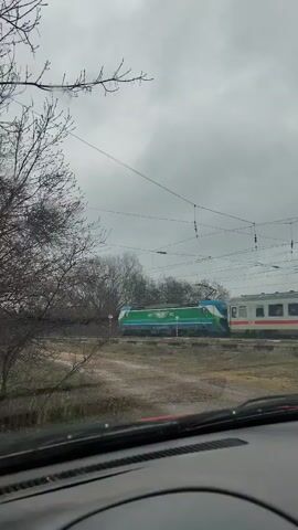 From the perspective of inside a car, a train passes by on a cloudy day. The train cars are white with red stripes and some have graffiti. Trees are visible on the left side of the frame, some bare. Overhead power lines are present. The ground outside appears muddy.