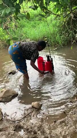 The video shows a woman standing in a shallow, muddy stream, filling a red sprayer tank with water. The woman is wearing a patterned shirt and a blue and orange patterned skirt. The stream is surrounded by lush green vegetation. There are rocks on the bank of the stream. The water in the stream is murky.