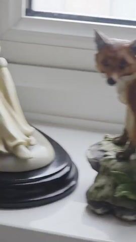 The video features a series of close-up shots of various decorative figurines, likely displayed on a windowsill, with a window and outdoor scenery visible in the background.

The first shot shows a brown and white fox figurine, standing on a textured base adorned with green leaves.
The second shot presents a figurine of a young girl with blonde, curly hair, wearing a wide-brimmed hat and a detailed dress, sitting on a miniature chair. A small, light brown animal figurine is positioned at her feet.
The third shot captures two animal figurines: a light brown dog on the left and an orange and white cat with blue eyes on the right, both in a sitting posture.
The fourth shot displays a fairy figurine with long blonde hair, a crown, and wings, wearing a white dress. She appears to be adjusting her leg. Next to her is a white basket with white and pink contents.
The final shot features three smaller figurines: a white basket with yellow contents (possibly flowers or yarn), a light brown and white striped tiger cub, and a small grey elephant.

The lighting throughout the video suggests it is daytime, with natural light coming from the window. The figurines are stationary, and the activity consists solely of the camera panning across the collection. No visible text is present on the figurines or in the immediate surroundings. The outdoor view through the window shows distant buildings and a faint reflection, typical of a residential or urban setting.