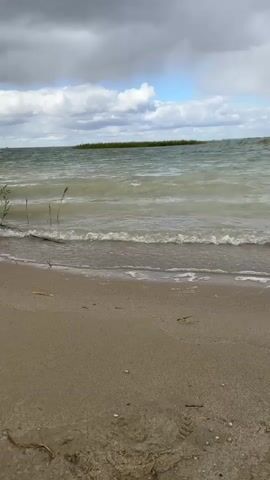 A very brief clip shows a sandy beach with gentle waves lapping at the shore. The water is a murky green, and the sky above is cloudy with patches of blue visible. In the distance, a thin strip of green land can be seen. The overall impression is one of a somewhat overcast, possibly cool day at a lake or sea.