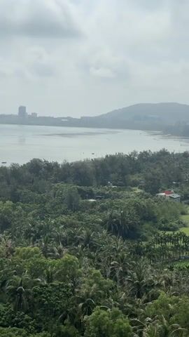 The video shows a panoramic view of a coastal landscape with lush green vegetation, hills, and a body of water. The foreground is dominated by dense tropical trees, likely palms, with a few structures visible interspersed within the foliage. Moving towards the midground, there is a cleared area of bright green grass, possibly a field or park, with scattered buildings and more trees. In the background, a calm body of water, likely a bay or sea, stretches towards a distant coastline with rolling hills. The sky is overcast, with visible clouds. There are no people or animals visible in the video. The camera appears to be stationary, capturing a wide, static shot of the scene.