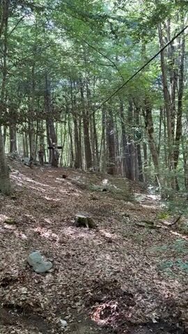 A young person wearing a helmet and a harness rides a zipline through a forest. They approach from the left and move across the frame to the right. The ground is covered in dried leaves and tree branches are visible around them.