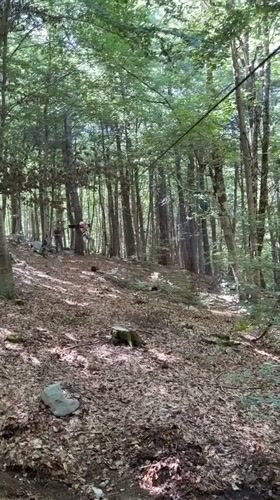 Children enjoy forest adventure course activities in Montenegro