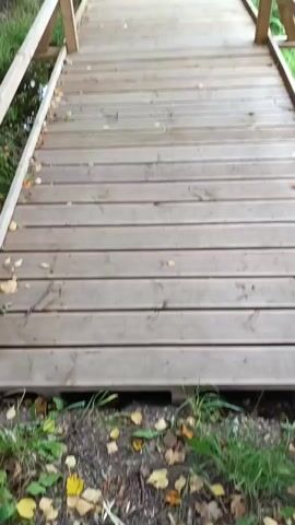 This video shows a wooden bridge with a railing on either side. The bridge is made of wooden planks and has a slight incline. There is water on the left side of the bridge and tall grass and trees on the right side. Leaves are scattered on the bridge and on the ground. The camera is moving forward along the bridge.
