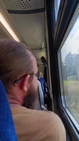 A man with a beard and glasses is sitting on a train, looking out the window at the passing scenery. He is wearing a light brown t-shirt. The interior of the train car is visible, with seats and lighting. The window shows a blurred view of trees and possibly other structures.