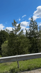 Roadside forest landscape recorded in Поварёнки, Russia