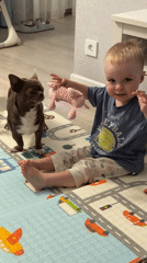 Toddler plays with stuffed animal, chihuahua nearby in Votkinsk
