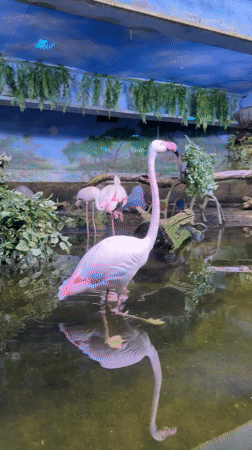 Zoo visitor tours aquatic exhibits in Khimki, Russia