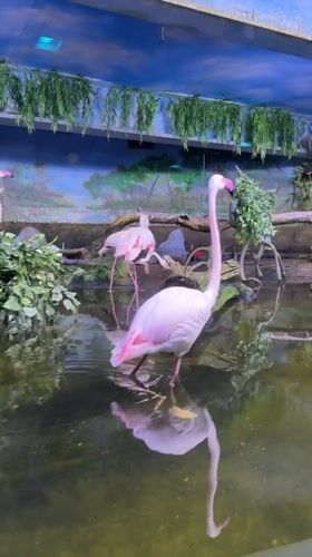 Zoo visitor tours aquatic exhibits in Khimki, Russia