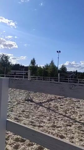 This video captures a horseback riding activity in an outdoor arena. The scene is set on a bright, sunny day with a clear blue sky dotted with white, fluffy clouds. The ground of the arena is covered in light-colored sand, and a white wooden fence encloses the riding area. In the background, lush green trees form a treeline, and a few buildings are visible, suggesting a rural or semi-rural location. A tall lamppost with two lights stands in the middle ground.

The primary subject is a horse with a rider. The horse is a light brown or bay color with a lighter mane and tail. The rider, dressed in dark riding attire, is actively engaged in guiding the horse. The horse is shown in motion, appearing to be performing a jump over a low obstacle, a thin white bar supported by standards. The rider is leaning forward, their posture indicating engagement in the jump. The horse's tail is swishing, and its mane is flowing, adding to the sense of movement.

The activity appears to be a training session or practice for equestrian jumping. The lighting suggests it is daytime, likely late morning or afternoon, given the brightness and angle of the sun which casts a slight glare on the left side of the frame. The overall mood is one of activity and focus on the equestrian sport. There is no visible text in the video. The location context is Ivanovskoe, Russia.