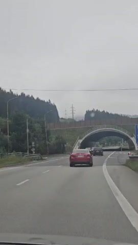 The video shows a view from inside a vehicle traveling on a highway. A red car is in front, followed by another car and then a black car. The highway passes under an arched overpass, which appears to be a wildlife crossing, as it is covered in vegetation and has barriers along the sides. The sky is overcast and the surrounding landscape is hilly and forested.