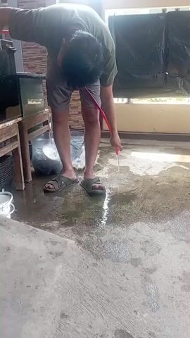 A person wearing a green t-shirt and grey shorts is leaning over and holding a red hose. The hose is spraying water onto a concrete floor. The person is wearing dark-colored sandals. There is a glass aquarium to the left of the frame, and a wooden stand underneath it. A white bucket is also visible on the floor to the left. The background shows a brick wall and a black plastic covering. The floor is wet and appears to be outdoors or in a covered outdoor area.