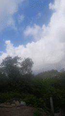 Rural landscape with brown-roofed building captured on video