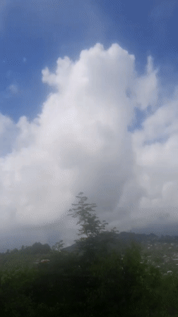 Rural landscape with brown-roofed building captured on video