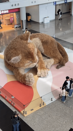 Giant orange cat sculpture displayed at Hong Kong airport