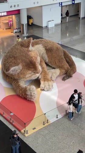 Giant orange cat sculpture displayed at Hong Kong airport
