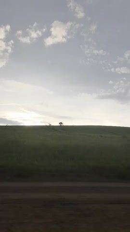 A low-angle, sideways tracking shot shows a rural landscape. The foreground is a dirt road. The midground is a grassy hill with two distant trees and some lighter-colored vegetation. The background is a cloudy sky with the sun peeking through the clouds on the left.
