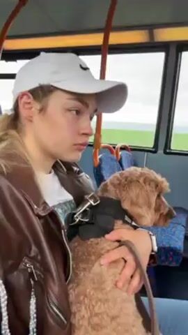 Here is a detailed description of the video:

The video shows a young woman sitting on a bus with a small, fluffy, brown dog in her lap. The woman is wearing a white baseball cap, a white t-shirt, and a brown leather jacket. She has her hair pulled back in a ponytail. She is wearing a watch on her left wrist. The dog is wearing a black harness and a leash. The bus is moving, and the scenery outside the window is visible. The seats of the bus are blue patterned fabric and have orange grab bars. The woman wakes up and smiles at the camera and then turns the camera towards the dog. The dog looks at the camera with large, expressive eyes.