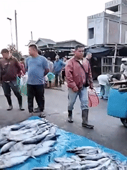 Early morning fish market activity documented in Lhokseumawe, Indonesia