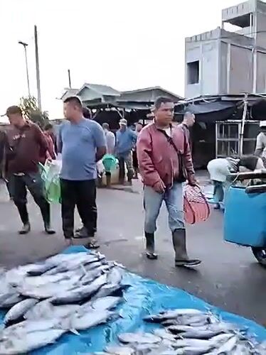 Early morning fish market activity documented in Lhokseumawe, Indonesia