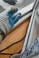 Seagull fed by hand from a Magadan window ledge