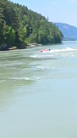 A red jet ski with two people aboard speeds across a light green, wide river. The riverbank on the left is lined with large rocks and trees. A dense forest covers the background, with tall, green coniferous trees and scattered deciduous trees under a clear blue sky. The jet ski leaves a white spray in its wake.