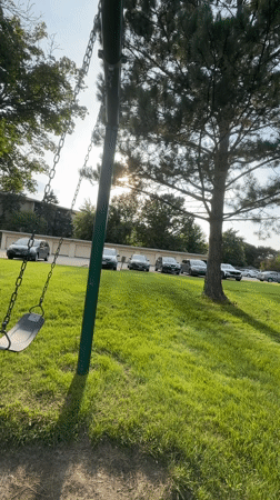 Summer evening at a Des Plaines park, squirrels everywhere