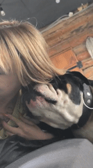 Woman shares tender moment with bulldog in Noviy, Russia