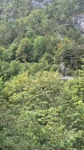This video shows a view from above looking down at a forested mountainside. There are many trees, mostly green, with some hints of yellow and brown, suggesting it could be late summer or early autumn. Sunlight is breaking through the trees in some spots, creating rays of light. In the distance, there appears to be a road or railway track carved into the mountainside with some form of vehicle or train on it. There are also power lines visible running across the frame, attached to poles on the mountain. The overall impression is of a natural, mountainous landscape with some human infrastructure.
