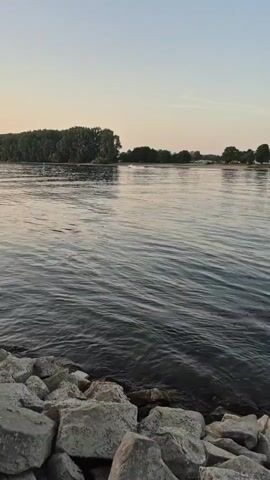 A video captures a wide shot of a river's surface with a rocky shoreline in the foreground. A line of trees lines the opposite bank, and a small white boat with people is visible on the water. The sky above is clear and light blue, suggesting a calm, possibly early morning or late afternoon setting. The lighting is soft and diffused.