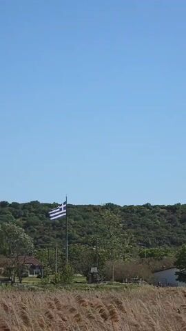 The video shows a field of tall, dry grass in the foreground, with a low, green, tree-covered hill in the background. The sky is clear and blue. As the video progresses, an orange and yellow flag becomes visible on the hill, waving in the wind.