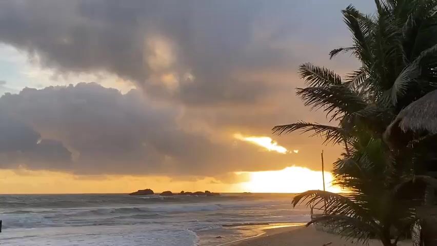 This media file depicts a scenic view of a beach in Hikkaduwa, Sri Lanka, during what appears to be sunset. The scene is dominated by the ocean and the sky, with the foreground featuring a sandy beach and lush palm trees.

The ocean is characterized by rolling waves, indicating moderate surf. The water exhibits a mix of colors, from the foamy white of the breaking waves to the darker blue further out. In the distance, a cluster of large rock formations emerges from the sea, adding a natural element to the seascape.

The sky is a dramatic canvas of clouds, with the setting sun piercing through them. The sun's rays cast a warm, golden glow across the horizon, creating a beautiful contrast with the darker, grayer clouds. This suggests a transition from day to evening, possibly with some cloud cover obscuring a clear sunset.

To the right of the frame, several palm trees with their fronds reaching towards the sky frame the view. Their silhouettes are dark against the bright sky, and the presence of a thatched roof structure suggests a beach hut or a small resort building. This provides a sense of a tropical, coastal location.

The overall mood of the image is serene and picturesque, evoking feelings of tranquility and the beauty of nature. The combination of the ocean, the sunset, and the tropical vegetation creates a classic beach ambiance. There is no visible text in the media file.