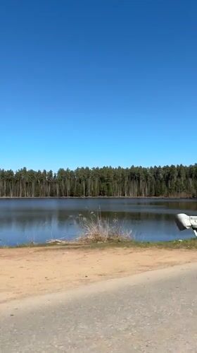 Car passes lakeside road in sunny Rusalevka forest