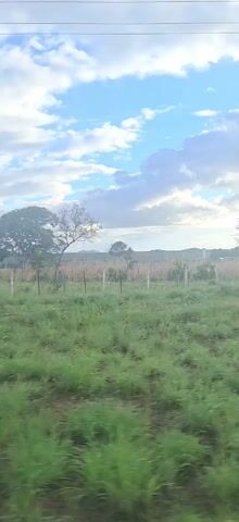 The camera moves from left to right while looking at a grassy field bordered by a fence.  Several trees, mostly bare, are scattered within the field.  Beyond the field, a low, gently rolling landscape leads to distant small hills. The sky above features puffy white clouds with patches of blue.