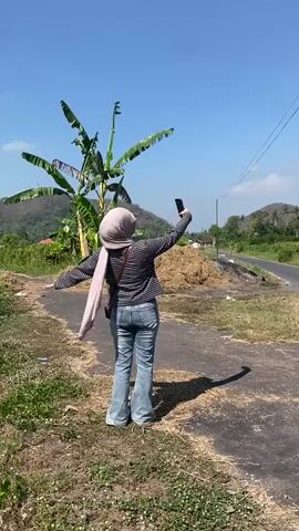 A woman wearing a hijab, checkered shirt, and bell-bottom jeans stands on a dirt road with a paved section to her right. She is holding a smartphone in her right hand, appearing to take a selfie or record a video. A banana tree with large leaves is behind her to the left, and a pile of hay is to her right. In the background, rolling hills covered in vegetation are visible under a clear blue sky. The overall setting suggests a rural, possibly agricultural, area on a sunny day.