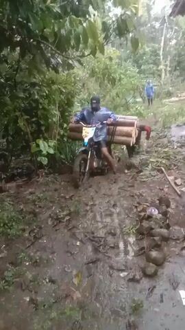 A person wearing a black baseball cap and a clear rain jacket is attempting to drive a small motorcycle through a muddy, uneven path. The motorcycle is carrying a large bundle of logs held in place across the driver's body. Another person wearing a red and black striped long-sleeve shirt and dark pants is walking alongside the motorcycle, seemingly assisting in navigating the vehicle through the mud. In the background, another person wearing a blue poncho is walking in the distance. The environment consists of dense green vegetation, with trees and shrubs visible on either side of the muddy path. The ground is saturated with water, and there are rocks and fallen debris scattered along the path. The overall scene conveys a sense of difficulty and effort in navigating the challenging terrain.