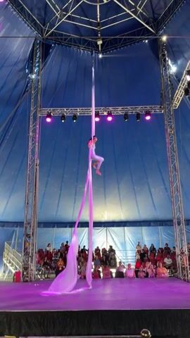 A person is performing aerial silks in a circus tent. The performer is wearing a pink leotard and white leggings, and is suspended from a single pink silk fabric attached to the ceiling. The tent has a blue fabric roof and is lit with pink and purple lights. An audience is seated below, watching the performance. The performer is in various poses, wrapping and unfolding the silk around their body.