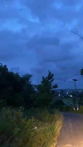 The video shows a dark blue dusk scene with a small road leading into the distance. The road is lined with tall grass and greenery. A few trees are visible, silhouetted against the cloudy sky. Power lines run across the frame. In the distance, there are lights suggesting a small town or residential area. A single motorcycle is seen traveling down the road, moving away from the camera.