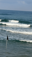 Morning surf session on the Tel Aviv coast